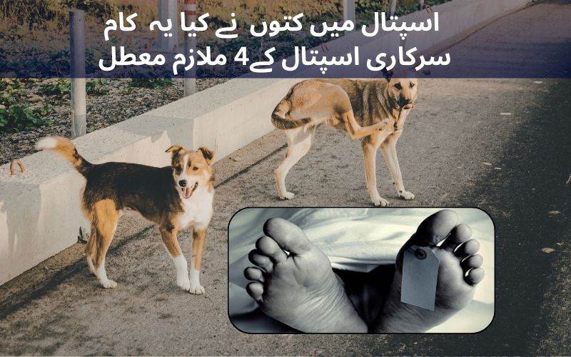 اسپتال میں مردہ خانہ  کےعملے کی لا پرواہی پر 4 اہلکار معطل 